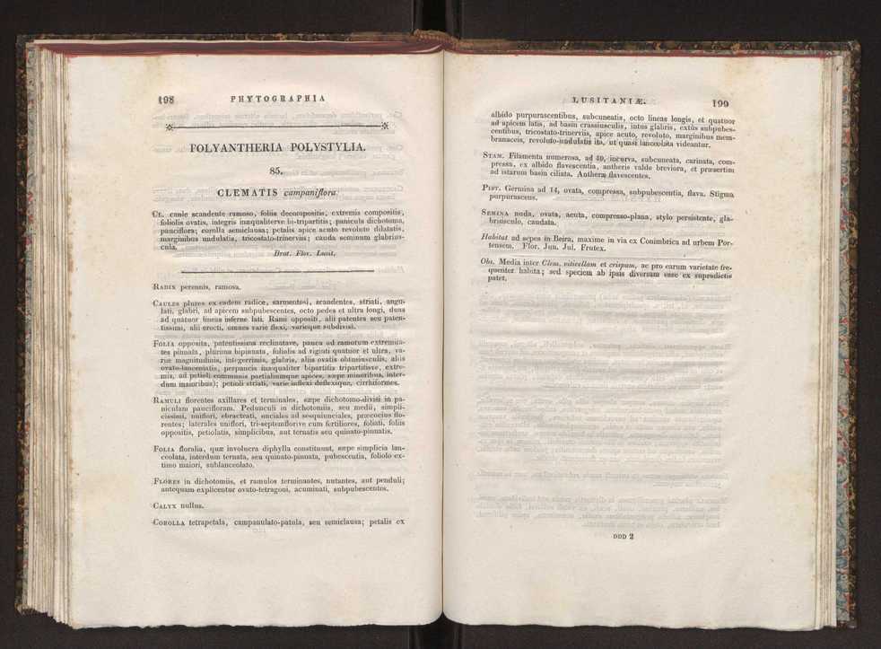 Phytographia lusitaniae selectior, seu novarum rariorum, et aliarum minus cognitarum stirpium, quae in Lusitania sponte' veniunt, ejusdemque floram spectant, descriptiones iconibus illustratae. Vol. 1 106