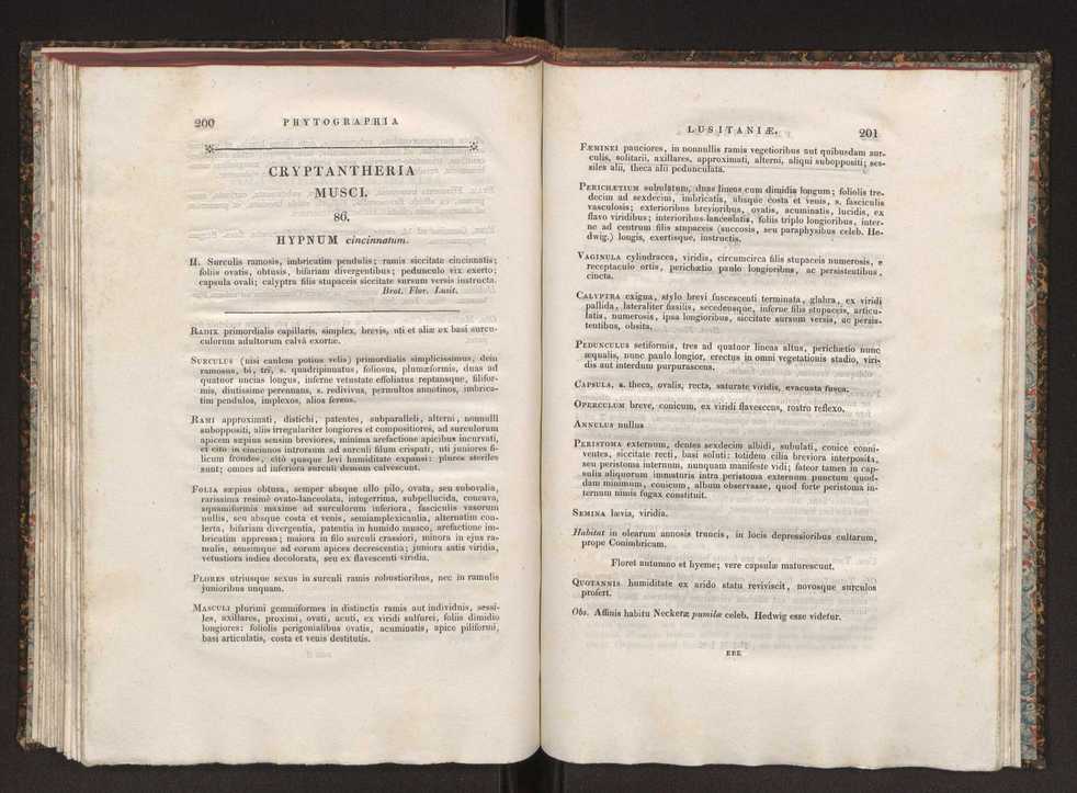 Phytographia lusitaniae selectior, seu novarum rariorum, et aliarum minus cognitarum stirpium, quae in Lusitania sponte' veniunt, ejusdemque floram spectant, descriptiones iconibus illustratae. Vol. 1 107