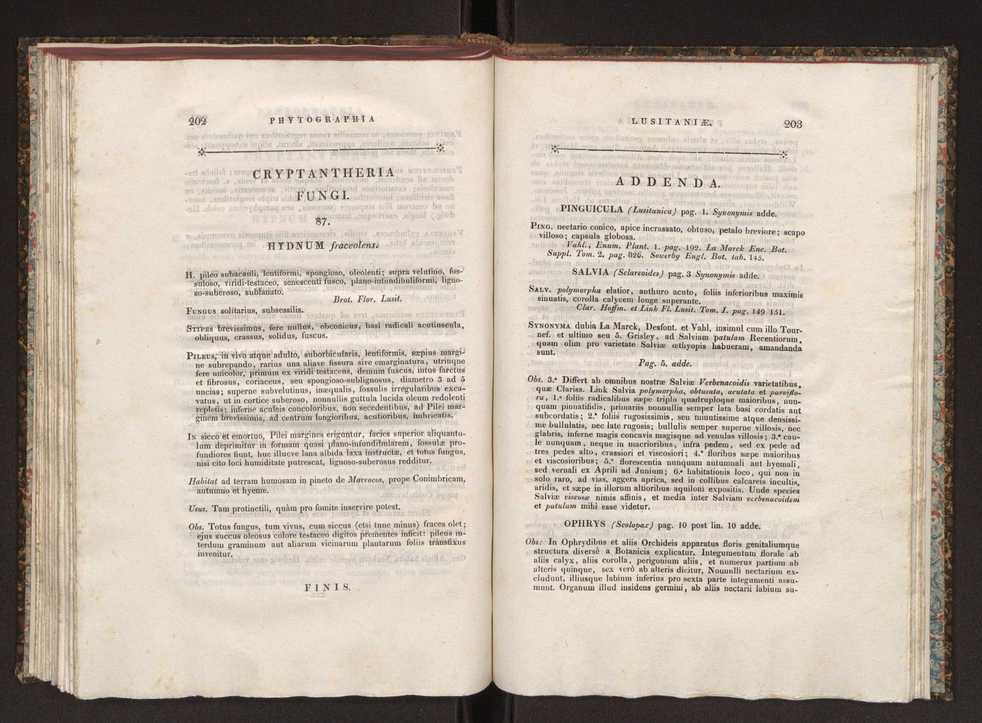 Phytographia lusitaniae selectior, seu novarum rariorum, et aliarum minus cognitarum stirpium, quae in Lusitania sponte' veniunt, ejusdemque floram spectant, descriptiones iconibus illustratae. Vol. 1 108