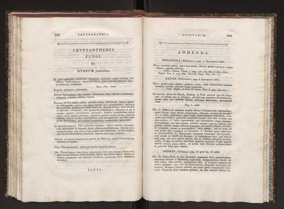 Phytographia lusitaniae selectior, seu novarum rariorum, et aliarum minus cognitarum stirpium, quae in Lusitania sponte' veniunt, ejusdemque floram spectant, descriptiones iconibus illustratae. Vol. 1 108