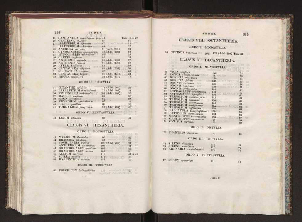 Phytographia lusitaniae selectior, seu novarum rariorum, et aliarum minus cognitarum stirpium, quae in Lusitania sponte' veniunt, ejusdemque floram spectant, descriptiones iconibus illustratae. Vol. 1 114