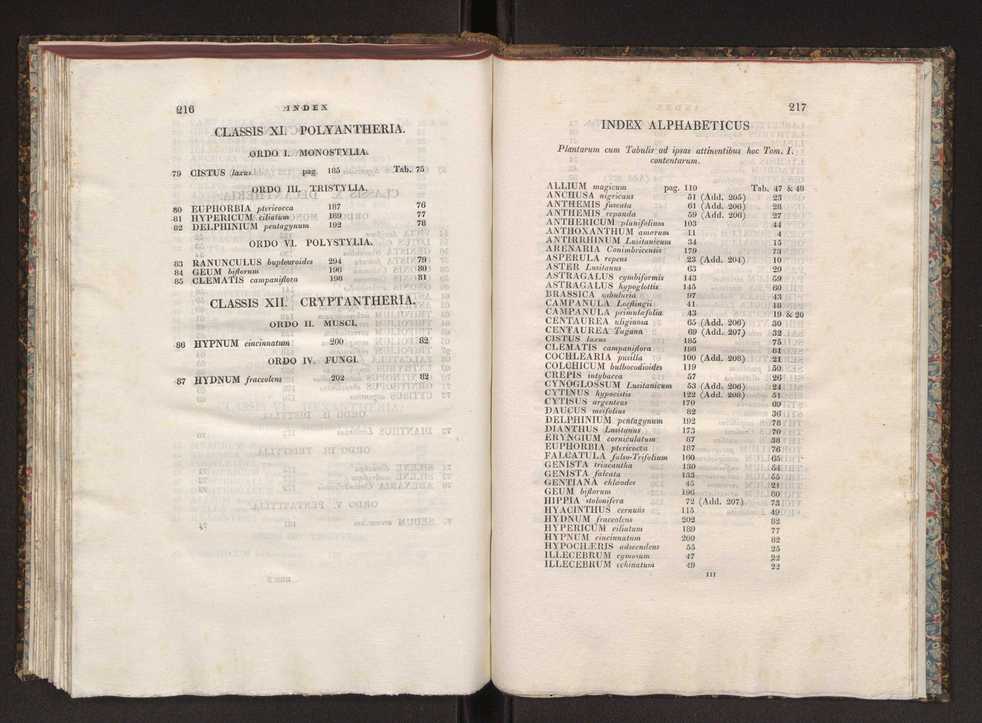 Phytographia lusitaniae selectior, seu novarum rariorum, et aliarum minus cognitarum stirpium, quae in Lusitania sponte' veniunt, ejusdemque floram spectant, descriptiones iconibus illustratae. Vol. 1 115