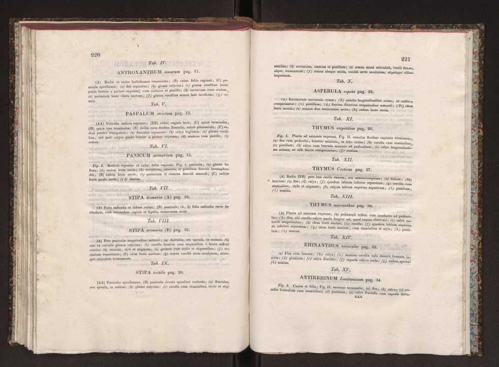 Phytographia lusitaniae selectior, seu novarum rariorum, et aliarum minus cognitarum stirpium, quae in Lusitania sponte' veniunt, ejusdemque floram spectant, descriptiones iconibus illustratae. Vol. 1 117