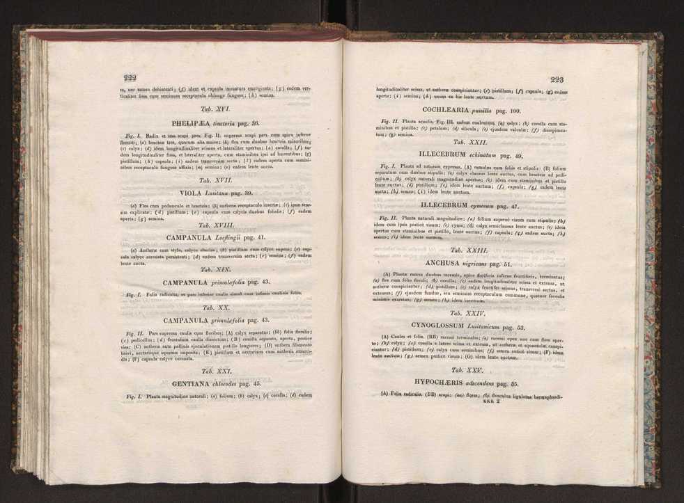 Phytographia lusitaniae selectior, seu novarum rariorum, et aliarum minus cognitarum stirpium, quae in Lusitania sponte' veniunt, ejusdemque floram spectant, descriptiones iconibus illustratae. Vol. 1 118