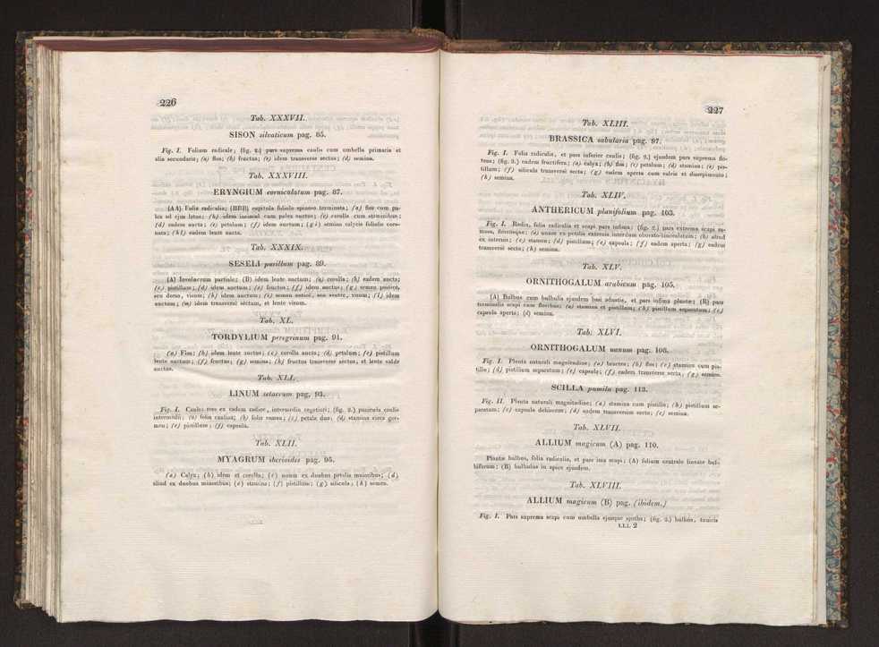 Phytographia lusitaniae selectior, seu novarum rariorum, et aliarum minus cognitarum stirpium, quae in Lusitania sponte' veniunt, ejusdemque floram spectant, descriptiones iconibus illustratae. Vol. 1 120