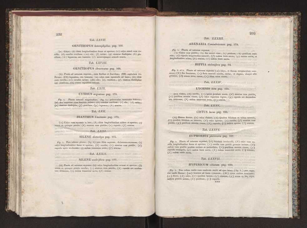 Phytographia lusitaniae selectior, seu novarum rariorum, et aliarum minus cognitarum stirpium, quae in Lusitania sponte' veniunt, ejusdemque floram spectant, descriptiones iconibus illustratae. Vol. 1 123