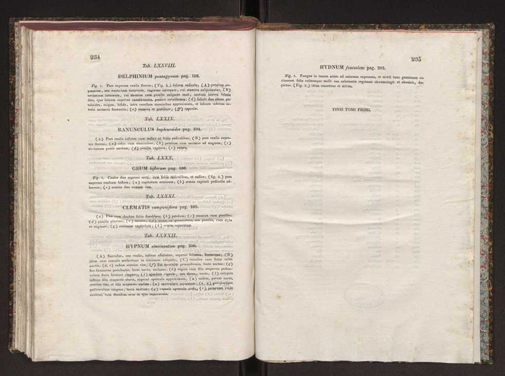 Phytographia lusitaniae selectior, seu novarum rariorum, et aliarum minus cognitarum stirpium, quae in Lusitania sponte' veniunt, ejusdemque floram spectant, descriptiones iconibus illustratae. Vol. 1 124