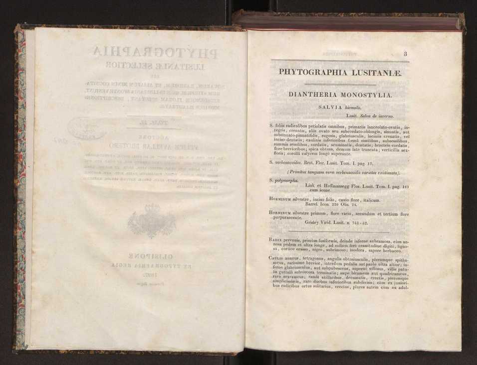 Phytographia lusitaniae selectior, seu novarum rariorum, et aliarum minus cognitarum stirpium, quae in Lusitania sponte' veniunt, ejusdemque floram spectant, descriptiones iconibus illustratae. Vol. 2 3