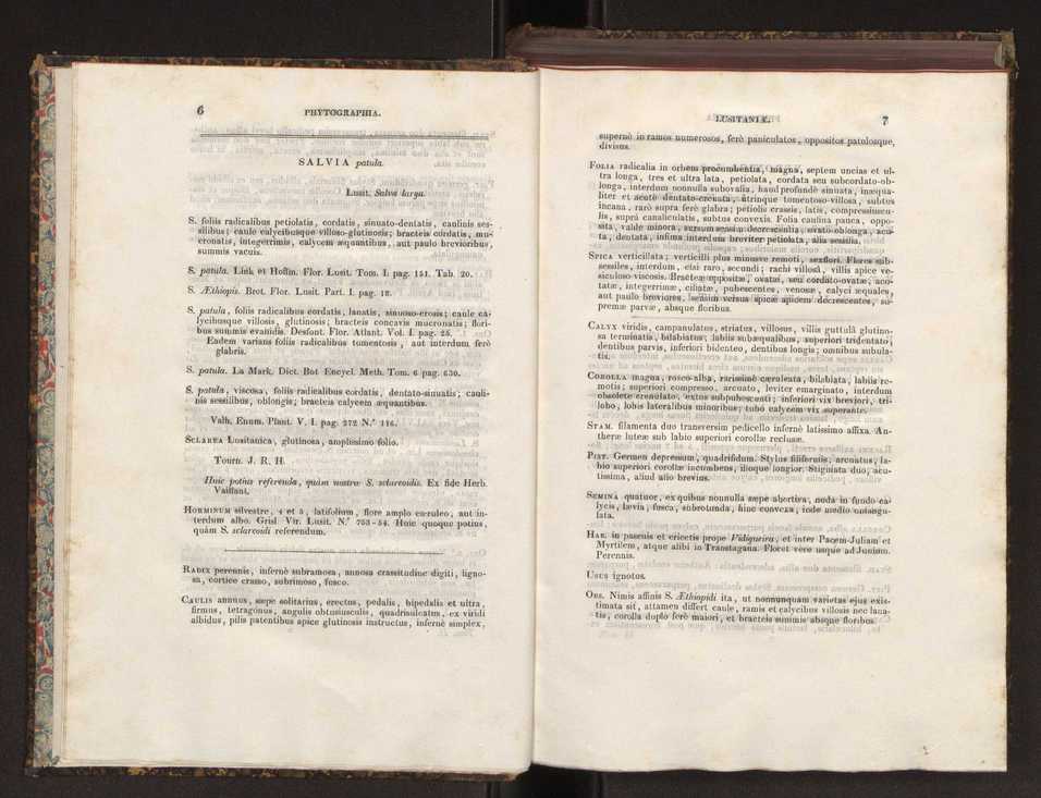 Phytographia lusitaniae selectior, seu novarum rariorum, et aliarum minus cognitarum stirpium, quae in Lusitania sponte' veniunt, ejusdemque floram spectant, descriptiones iconibus illustratae. Vol. 2 5