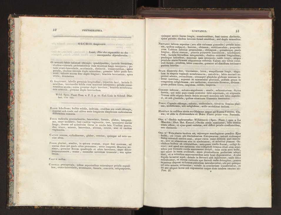 Phytographia lusitaniae selectior, seu novarum rariorum, et aliarum minus cognitarum stirpium, quae in Lusitania sponte' veniunt, ejusdemque floram spectant, descriptiones iconibus illustratae. Vol. 2 8