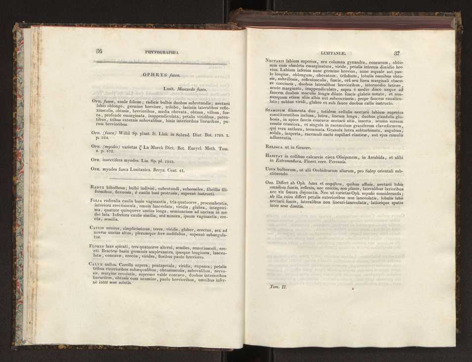 Phytographia lusitaniae selectior, seu novarum rariorum, et aliarum minus cognitarum stirpium, quae in Lusitania sponte' veniunt, ejusdemque floram spectant, descriptiones iconibus illustratae. Vol. 2 20