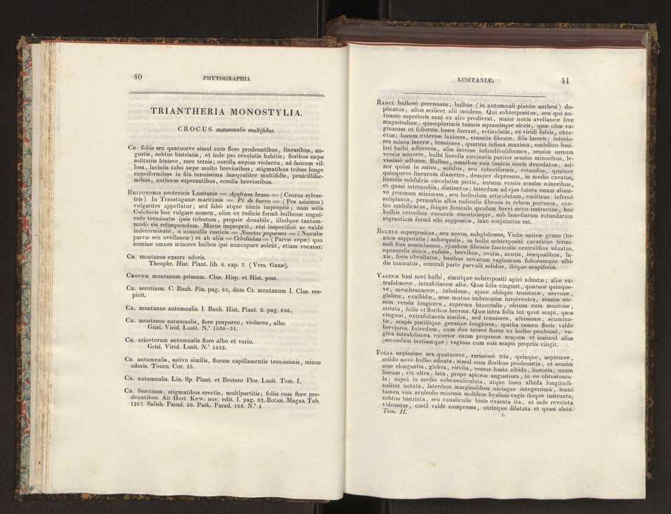 Phytographia lusitaniae selectior, seu novarum rariorum, et aliarum minus cognitarum stirpium, quae in Lusitania sponte' veniunt, ejusdemque floram spectant, descriptiones iconibus illustratae. Vol. 2 22