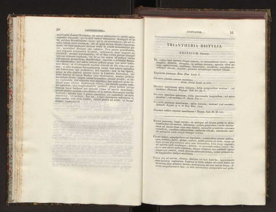 Phytographia lusitaniae selectior, seu novarum rariorum, et aliarum minus cognitarum stirpium, quae in Lusitania sponte' veniunt, ejusdemque floram spectant, descriptiones iconibus illustratae. Vol. 2 27