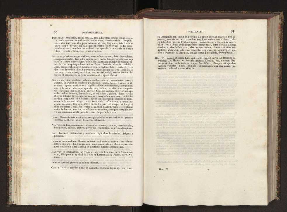 Phytographia lusitaniae selectior, seu novarum rariorum, et aliarum minus cognitarum stirpium, quae in Lusitania sponte' veniunt, ejusdemque floram spectant, descriptiones iconibus illustratae. Vol. 2 32