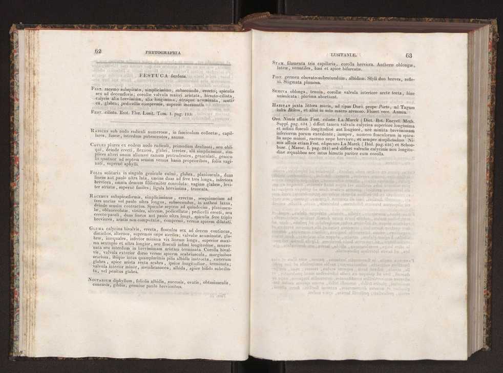 Phytographia lusitaniae selectior, seu novarum rariorum, et aliarum minus cognitarum stirpium, quae in Lusitania sponte' veniunt, ejusdemque floram spectant, descriptiones iconibus illustratae. Vol. 2 33