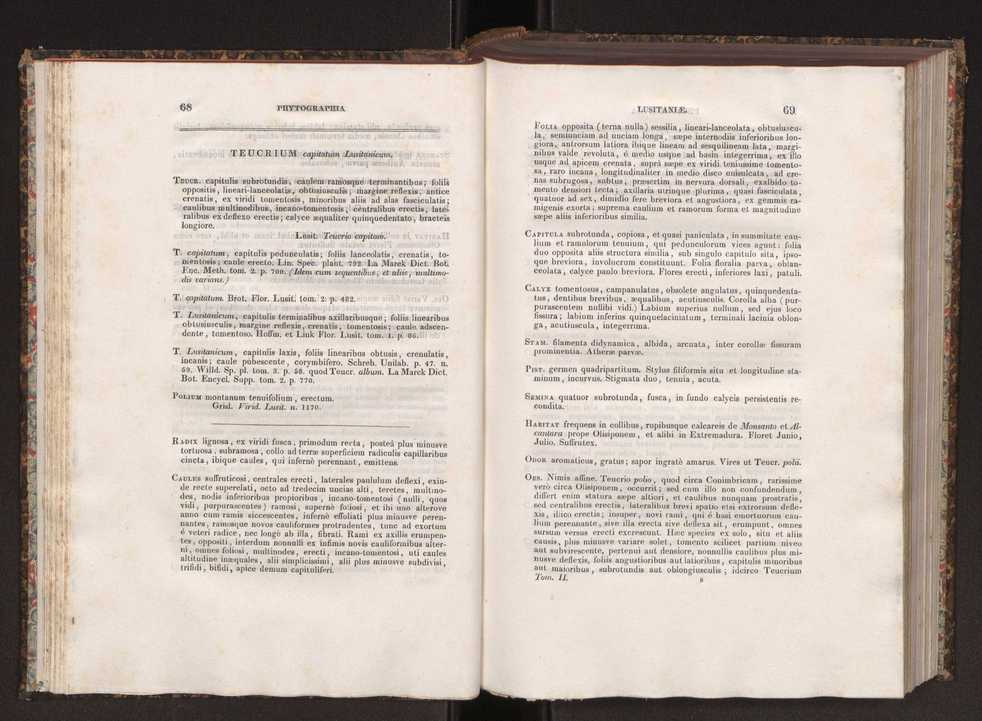 Phytographia lusitaniae selectior, seu novarum rariorum, et aliarum minus cognitarum stirpium, quae in Lusitania sponte' veniunt, ejusdemque floram spectant, descriptiones iconibus illustratae. Vol. 2 36