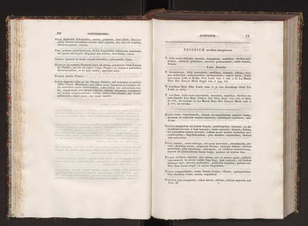 Phytographia lusitaniae selectior, seu novarum rariorum, et aliarum minus cognitarum stirpium, quae in Lusitania sponte' veniunt, ejusdemque floram spectant, descriptiones iconibus illustratae. Vol. 2 38