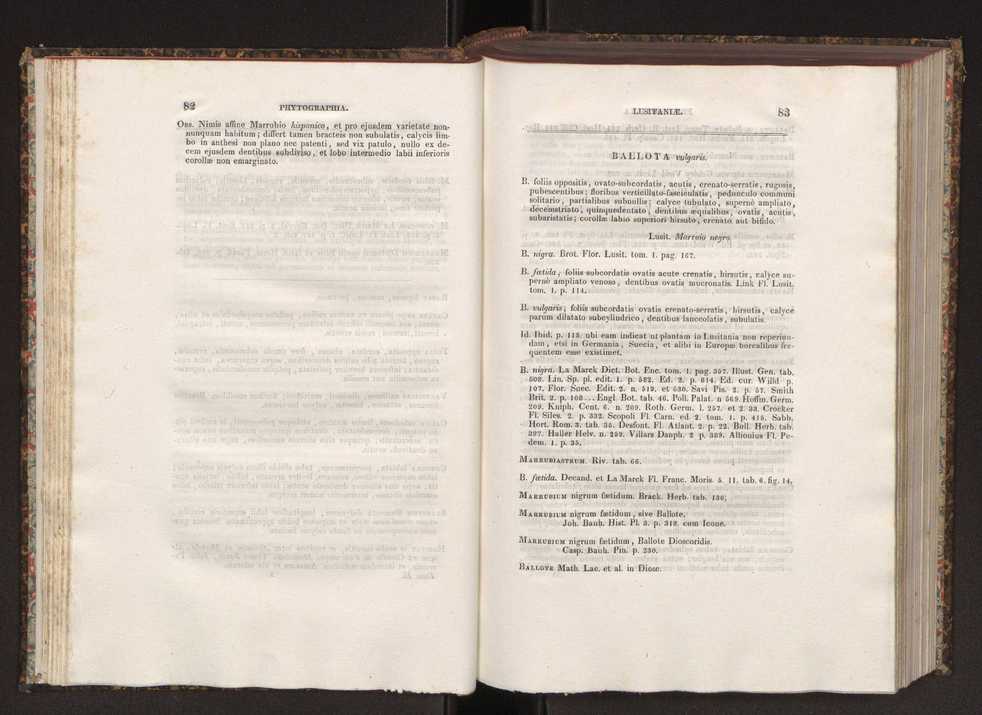 Phytographia lusitaniae selectior, seu novarum rariorum, et aliarum minus cognitarum stirpium, quae in Lusitania sponte' veniunt, ejusdemque floram spectant, descriptiones iconibus illustratae. Vol. 2 43