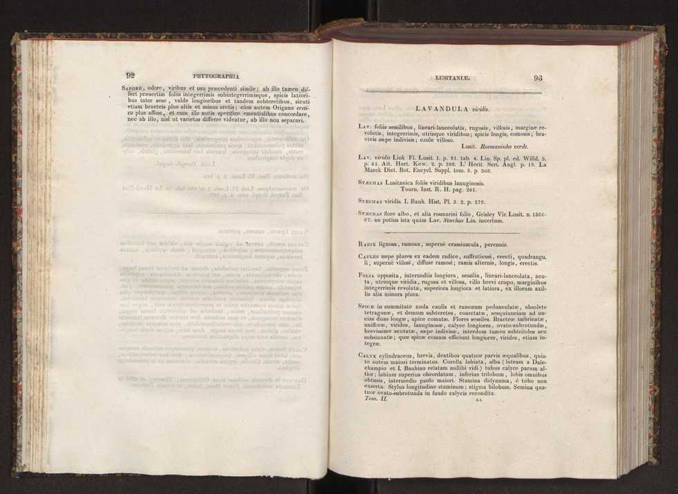 Phytographia lusitaniae selectior, seu novarum rariorum, et aliarum minus cognitarum stirpium, quae in Lusitania sponte' veniunt, ejusdemque floram spectant, descriptiones iconibus illustratae. Vol. 2 48