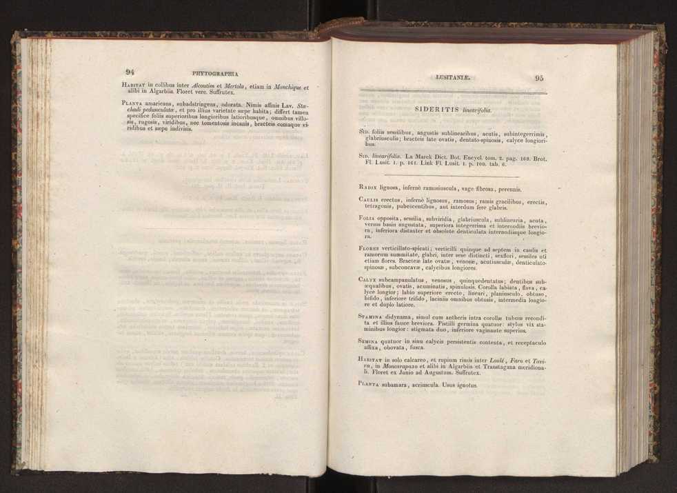 Phytographia lusitaniae selectior, seu novarum rariorum, et aliarum minus cognitarum stirpium, quae in Lusitania sponte' veniunt, ejusdemque floram spectant, descriptiones iconibus illustratae. Vol. 2 49