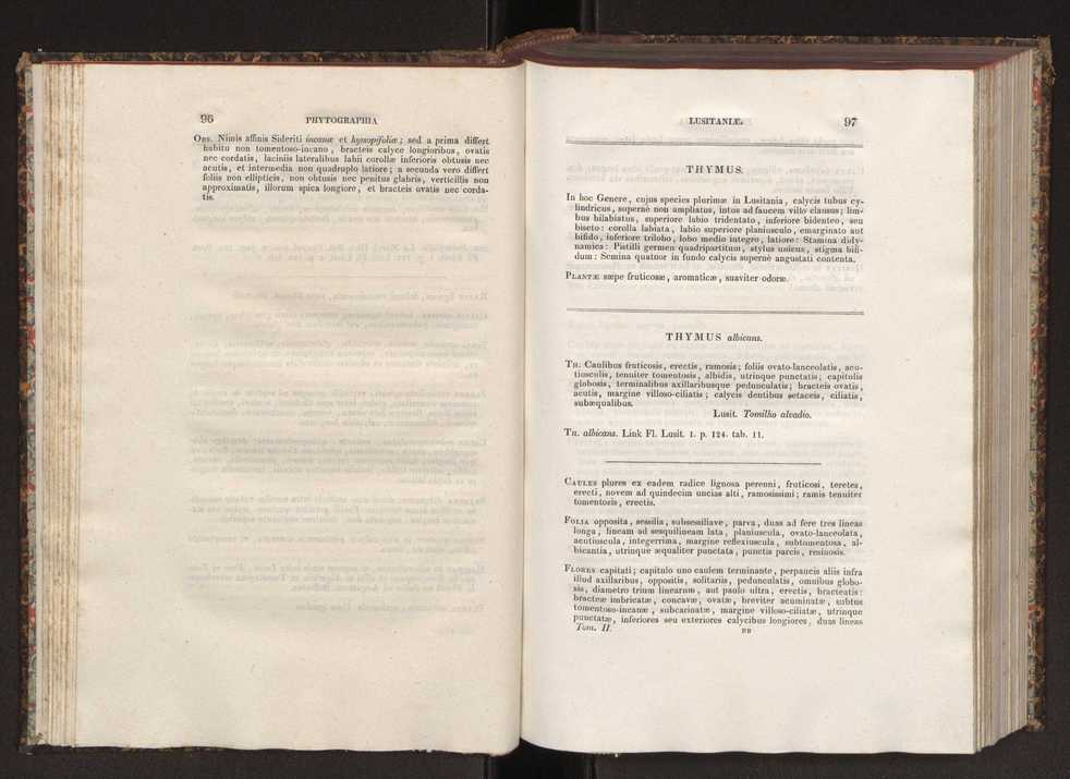 Phytographia lusitaniae selectior, seu novarum rariorum, et aliarum minus cognitarum stirpium, quae in Lusitania sponte' veniunt, ejusdemque floram spectant, descriptiones iconibus illustratae. Vol. 2 50
