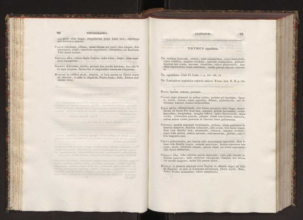 Phytographia lusitaniae selectior, seu novarum rariorum, et aliarum minus cognitarum stirpium, quae in Lusitania sponte' veniunt, ejusdemque floram spectant, descriptiones iconibus illustratae. Vol. 2 51