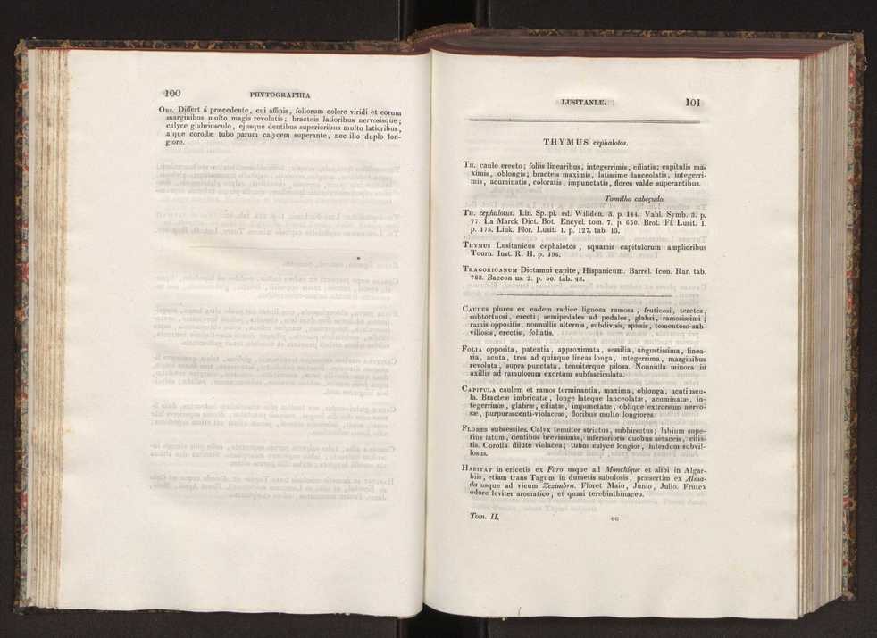 Phytographia lusitaniae selectior, seu novarum rariorum, et aliarum minus cognitarum stirpium, quae in Lusitania sponte' veniunt, ejusdemque floram spectant, descriptiones iconibus illustratae. Vol. 2 52