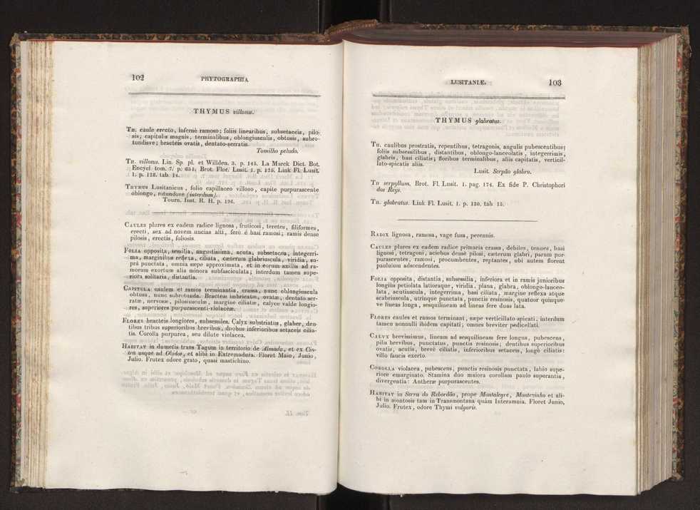 Phytographia lusitaniae selectior, seu novarum rariorum, et aliarum minus cognitarum stirpium, quae in Lusitania sponte' veniunt, ejusdemque floram spectant, descriptiones iconibus illustratae. Vol. 2 53