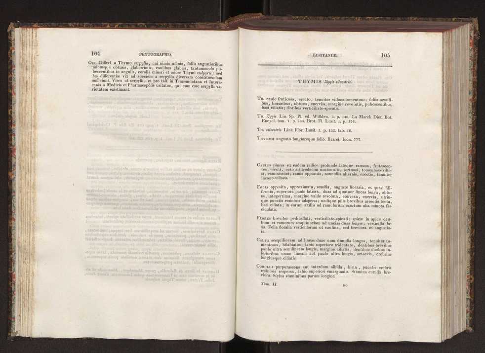 Phytographia lusitaniae selectior, seu novarum rariorum, et aliarum minus cognitarum stirpium, quae in Lusitania sponte' veniunt, ejusdemque floram spectant, descriptiones iconibus illustratae. Vol. 2 54