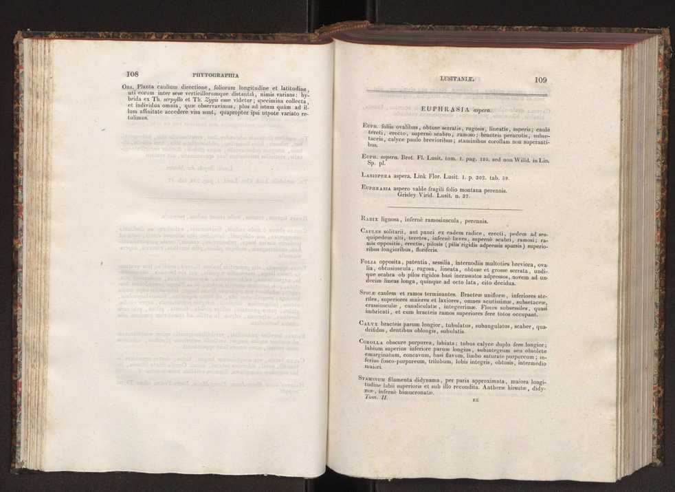 Phytographia lusitaniae selectior, seu novarum rariorum, et aliarum minus cognitarum stirpium, quae in Lusitania sponte' veniunt, ejusdemque floram spectant, descriptiones iconibus illustratae. Vol. 2 56