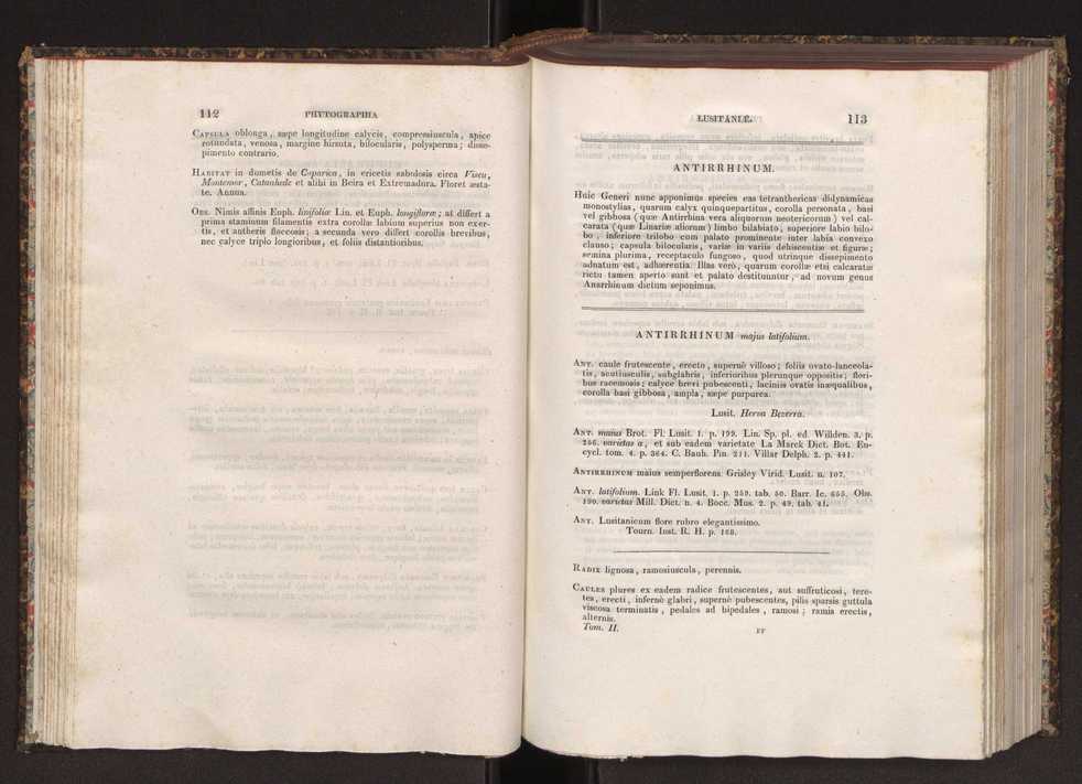 Phytographia lusitaniae selectior, seu novarum rariorum, et aliarum minus cognitarum stirpium, quae in Lusitania sponte' veniunt, ejusdemque floram spectant, descriptiones iconibus illustratae. Vol. 2 58