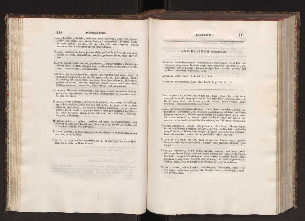 Phytographia lusitaniae selectior, seu novarum rariorum, et aliarum minus cognitarum stirpium, quae in Lusitania sponte' veniunt, ejusdemque floram spectant, descriptiones iconibus illustratae. Vol. 2 59