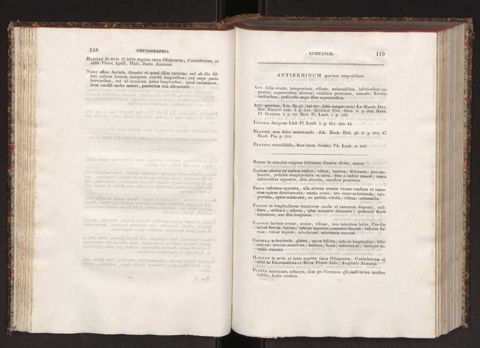 Phytographia lusitaniae selectior, seu novarum rariorum, et aliarum minus cognitarum stirpium, quae in Lusitania sponte' veniunt, ejusdemque floram spectant, descriptiones iconibus illustratae. Vol. 2 61