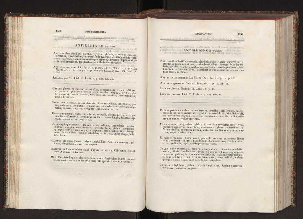 Phytographia lusitaniae selectior, seu novarum rariorum, et aliarum minus cognitarum stirpium, quae in Lusitania sponte' veniunt, ejusdemque floram spectant, descriptiones iconibus illustratae. Vol. 2 63