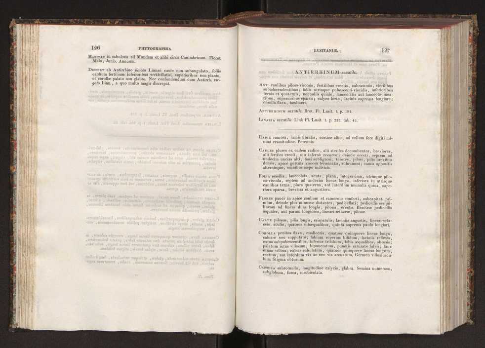 Phytographia lusitaniae selectior, seu novarum rariorum, et aliarum minus cognitarum stirpium, quae in Lusitania sponte' veniunt, ejusdemque floram spectant, descriptiones iconibus illustratae. Vol. 2 65