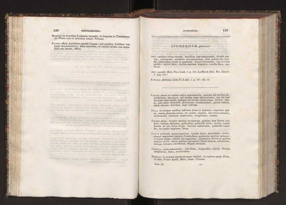 Phytographia lusitaniae selectior, seu novarum rariorum, et aliarum minus cognitarum stirpium, quae in Lusitania sponte' veniunt, ejusdemque floram spectant, descriptiones iconibus illustratae. Vol. 2 66