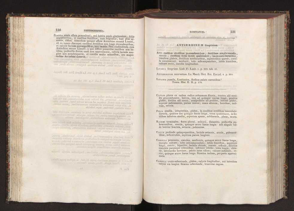 Phytographia lusitaniae selectior, seu novarum rariorum, et aliarum minus cognitarum stirpium, quae in Lusitania sponte' veniunt, ejusdemque floram spectant, descriptiones iconibus illustratae. Vol. 2 67