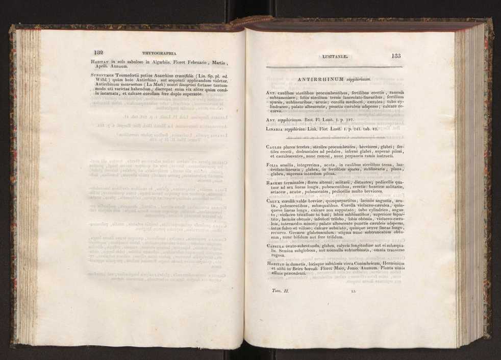 Phytographia lusitaniae selectior, seu novarum rariorum, et aliarum minus cognitarum stirpium, quae in Lusitania sponte' veniunt, ejusdemque floram spectant, descriptiones iconibus illustratae. Vol. 2 68