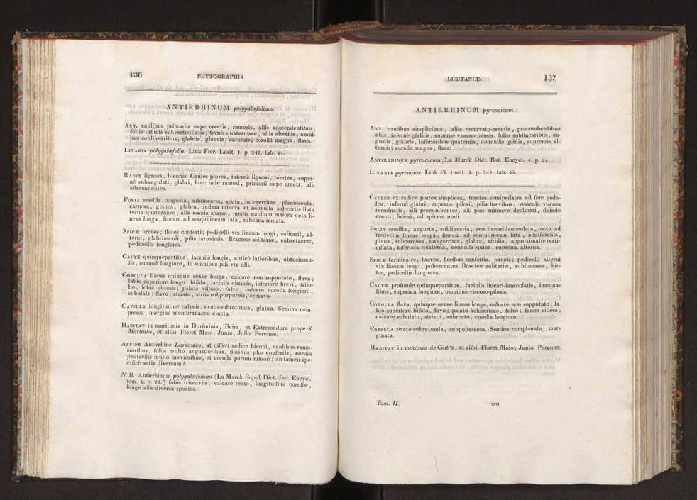 Phytographia lusitaniae selectior, seu novarum rariorum, et aliarum minus cognitarum stirpium, quae in Lusitania sponte' veniunt, ejusdemque floram spectant, descriptiones iconibus illustratae. Vol. 2 70