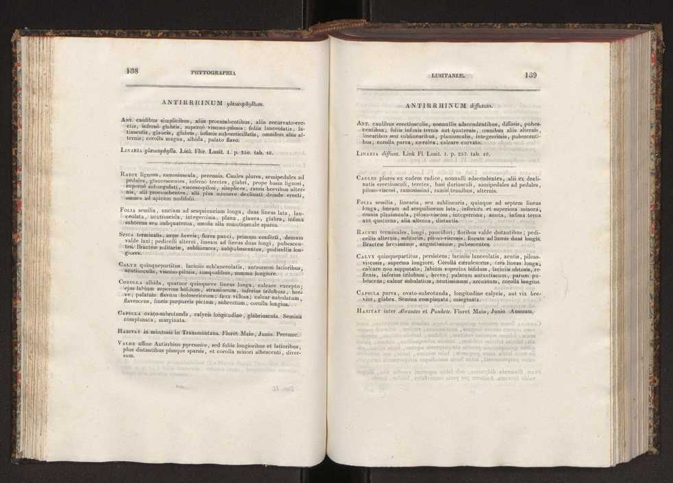 Phytographia lusitaniae selectior, seu novarum rariorum, et aliarum minus cognitarum stirpium, quae in Lusitania sponte' veniunt, ejusdemque floram spectant, descriptiones iconibus illustratae. Vol. 2 71