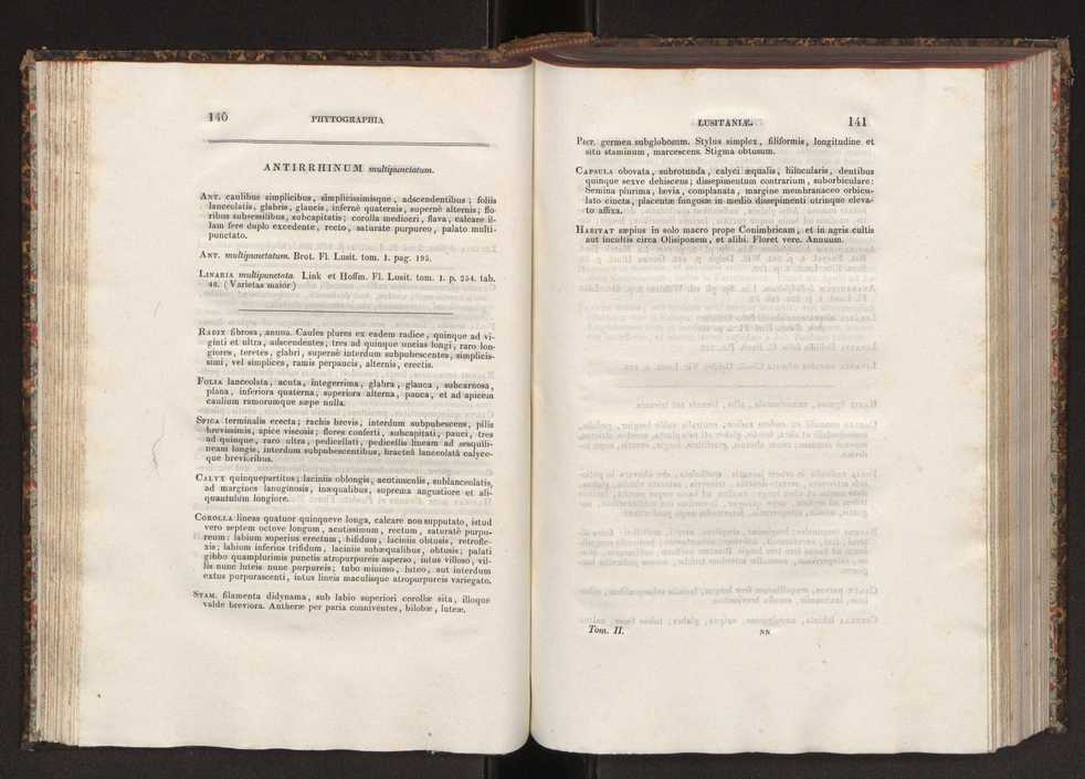 Phytographia lusitaniae selectior, seu novarum rariorum, et aliarum minus cognitarum stirpium, quae in Lusitania sponte' veniunt, ejusdemque floram spectant, descriptiones iconibus illustratae. Vol. 2 72