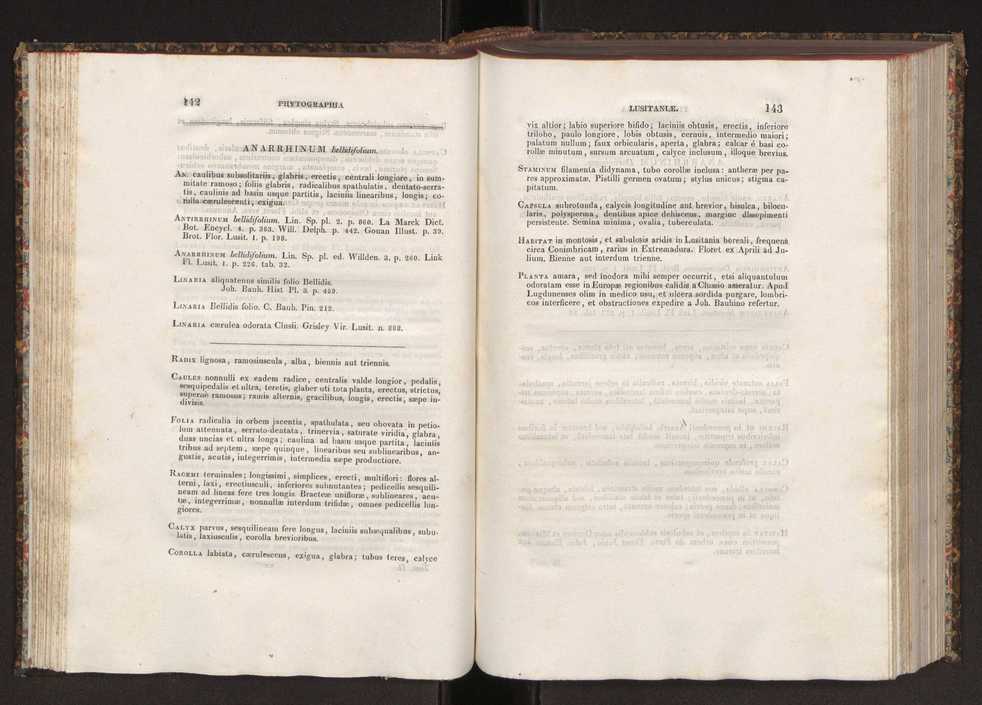Phytographia lusitaniae selectior, seu novarum rariorum, et aliarum minus cognitarum stirpium, quae in Lusitania sponte' veniunt, ejusdemque floram spectant, descriptiones iconibus illustratae. Vol. 2 73