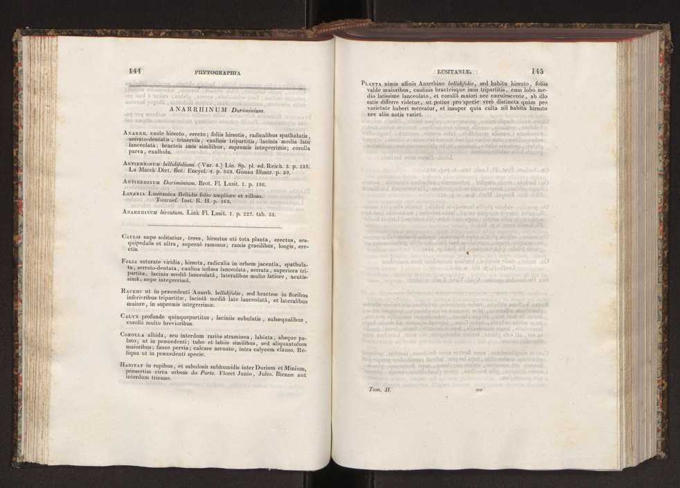 Phytographia lusitaniae selectior, seu novarum rariorum, et aliarum minus cognitarum stirpium, quae in Lusitania sponte' veniunt, ejusdemque floram spectant, descriptiones iconibus illustratae. Vol. 2 74