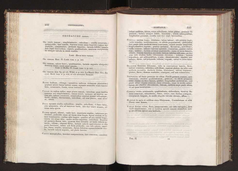 Phytographia lusitaniae selectior, seu novarum rariorum, et aliarum minus cognitarum stirpium, quae in Lusitania sponte' veniunt, ejusdemque floram spectant, descriptiones iconibus illustratae. Vol. 2 78