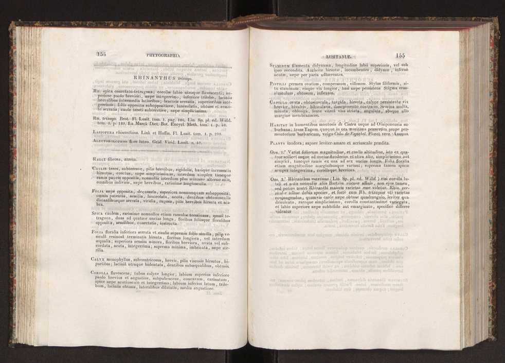 Phytographia lusitaniae selectior, seu novarum rariorum, et aliarum minus cognitarum stirpium, quae in Lusitania sponte' veniunt, ejusdemque floram spectant, descriptiones iconibus illustratae. Vol. 2 79