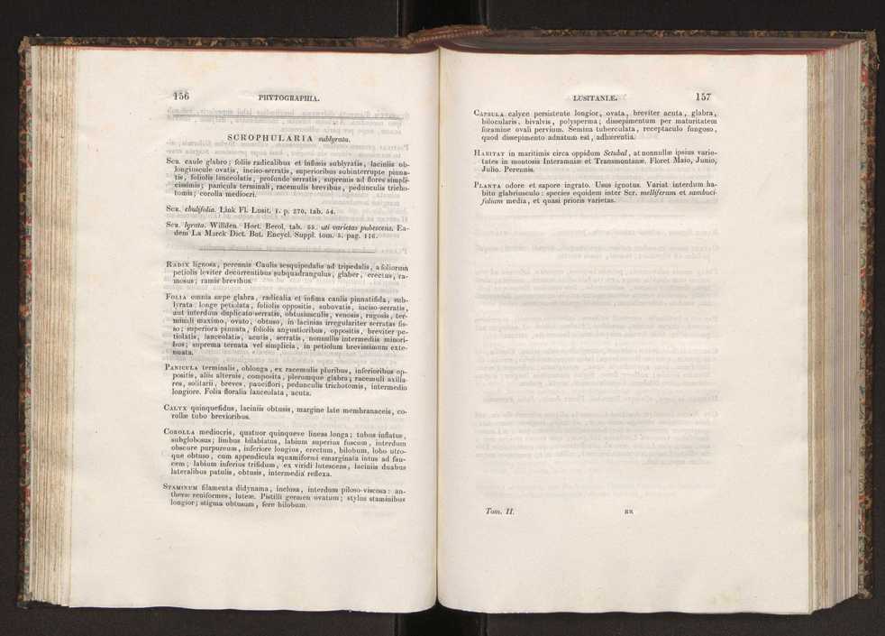 Phytographia lusitaniae selectior, seu novarum rariorum, et aliarum minus cognitarum stirpium, quae in Lusitania sponte' veniunt, ejusdemque floram spectant, descriptiones iconibus illustratae. Vol. 2 80
