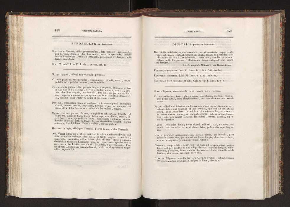 Phytographia lusitaniae selectior, seu novarum rariorum, et aliarum minus cognitarum stirpium, quae in Lusitania sponte' veniunt, ejusdemque floram spectant, descriptiones iconibus illustratae. Vol. 2 81