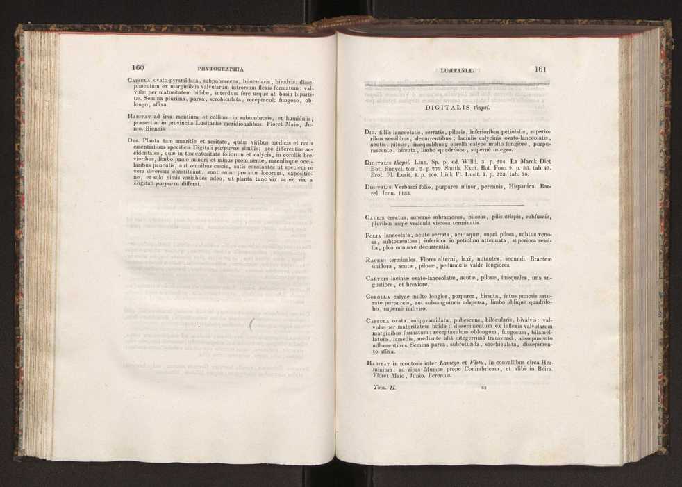 Phytographia lusitaniae selectior, seu novarum rariorum, et aliarum minus cognitarum stirpium, quae in Lusitania sponte' veniunt, ejusdemque floram spectant, descriptiones iconibus illustratae. Vol. 2 82