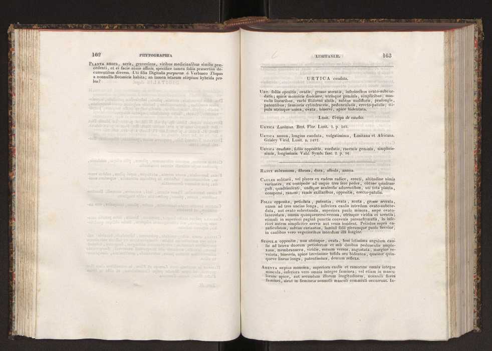 Phytographia lusitaniae selectior, seu novarum rariorum, et aliarum minus cognitarum stirpium, quae in Lusitania sponte' veniunt, ejusdemque floram spectant, descriptiones iconibus illustratae. Vol. 2 83