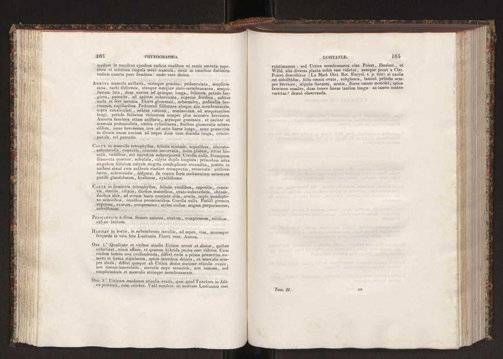 Phytographia lusitaniae selectior, seu novarum rariorum, et aliarum minus cognitarum stirpium, quae in Lusitania sponte' veniunt, ejusdemque floram spectant, descriptiones iconibus illustratae. Vol. 2 84